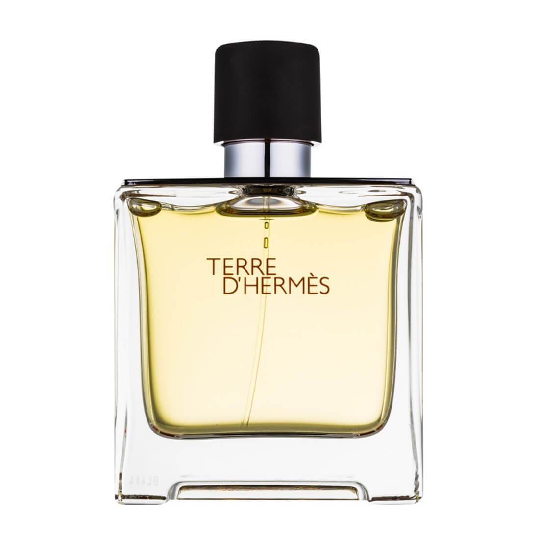 Hermes Terre D'Hermes Eau De Perfume For Men - 75ml
