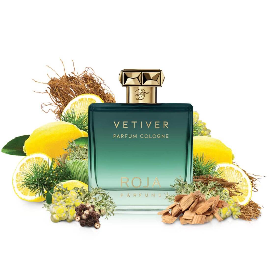 ROJA Vetiver Pour Homme Parfum Cologne 100ml - Main Image