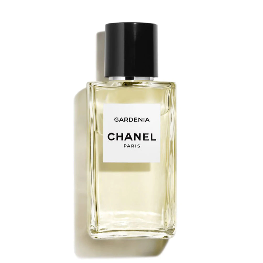 Chanel Gabrielle : Perfume Review - Bois de Jasmin